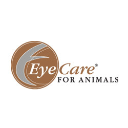 Davidson Belluso Sets its Sights on Eye Care for Animals Website