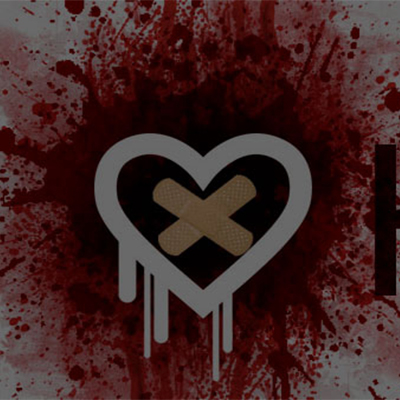 Cyber Security – Heartbleed