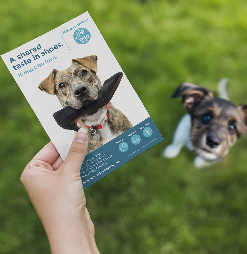 tag-your-wag-flyer