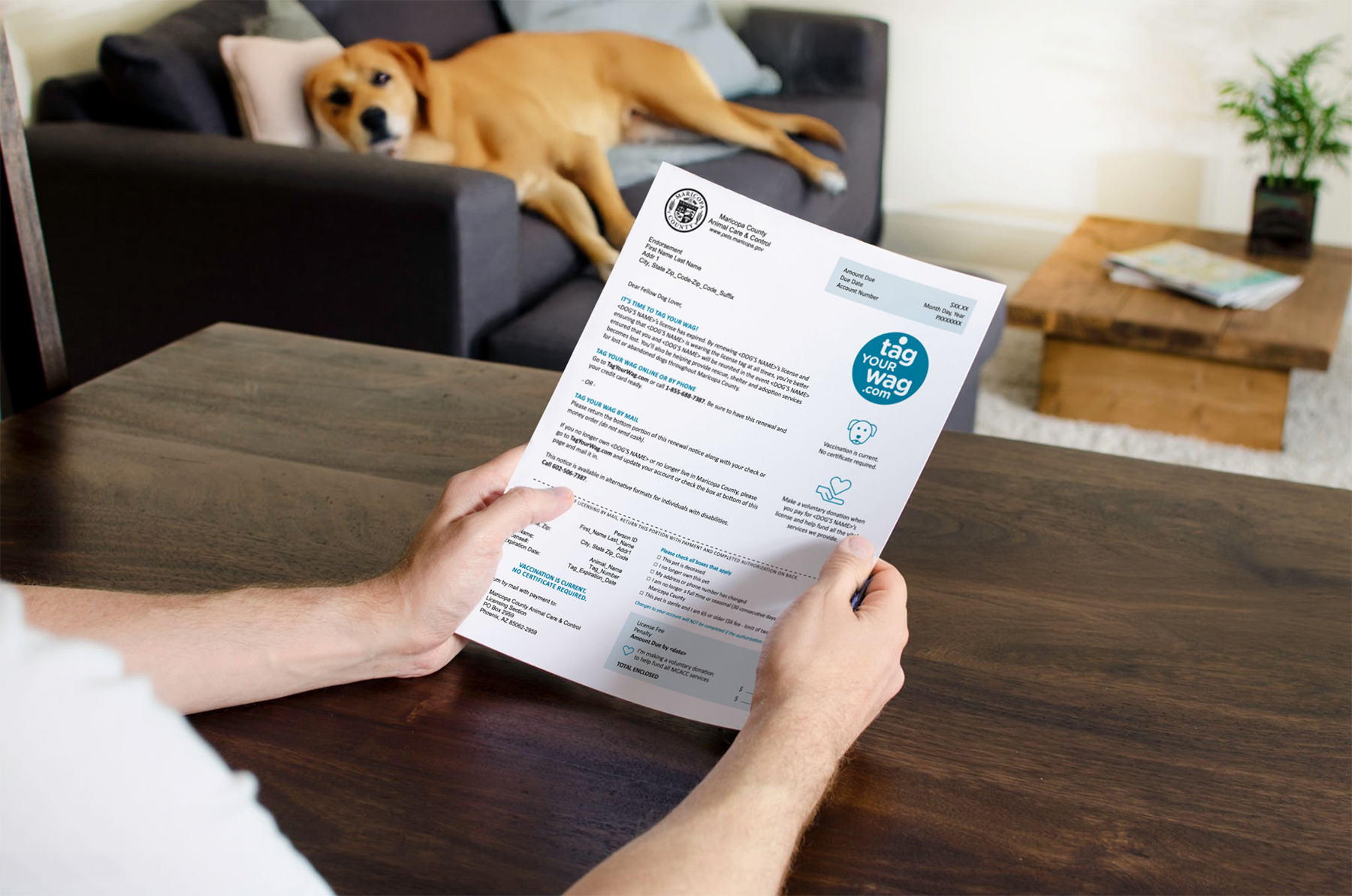 tag-your-wag-invoice