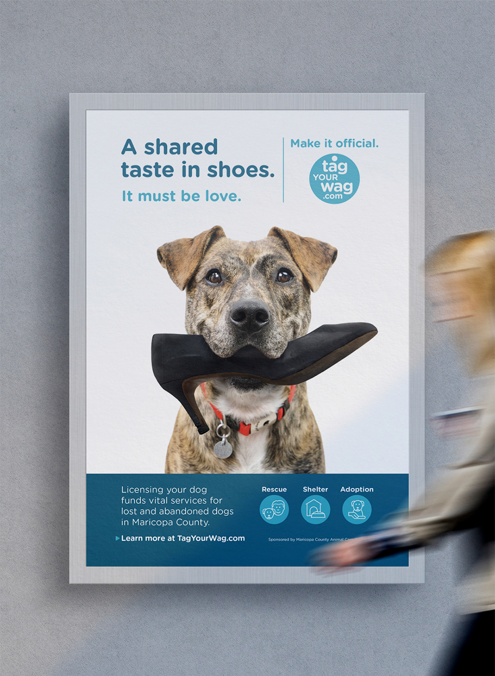 tag-your-wag-poster-1